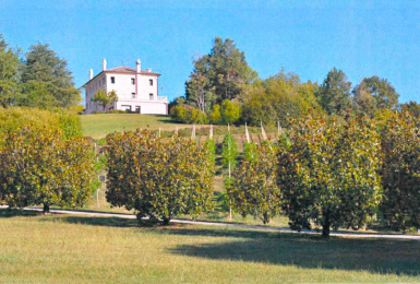 Fonte di Onè Asolo, Treviso, Italia, 6 Stanze Stanze,8 BagnoBagno,Tenuta Agricola,Tenute Agricole Vinicole,1137