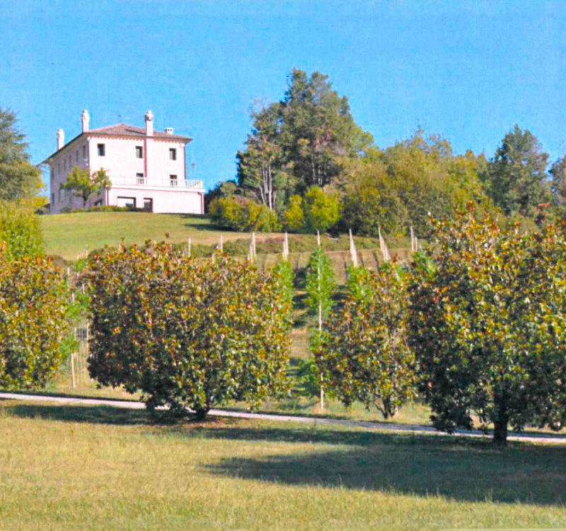 Fonte di Onè Asolo, Treviso, Italia, 6 Stanze Stanze,8 BagnoBagno,Tenuta Agricola,Tenute Agricole Vinicole,1137