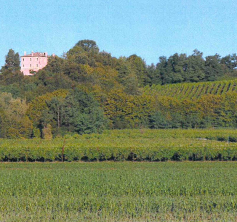 Fonte di Onè Asolo, Treviso, Italia, 6 Stanze Stanze,8 BagnoBagno,Tenuta Agricola,Tenute Agricole Vinicole,1137