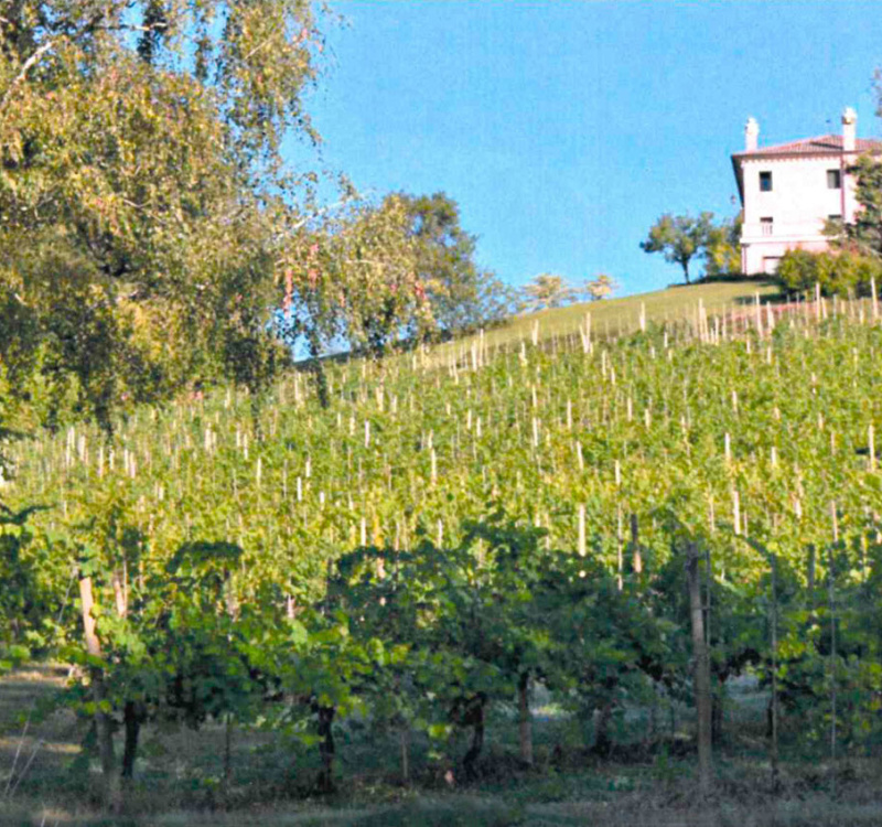 Fonte di Onè Asolo, Treviso, Italia, 6 Stanze Stanze,8 BagnoBagno,Tenuta Agricola,Tenute Agricole Vinicole,1137