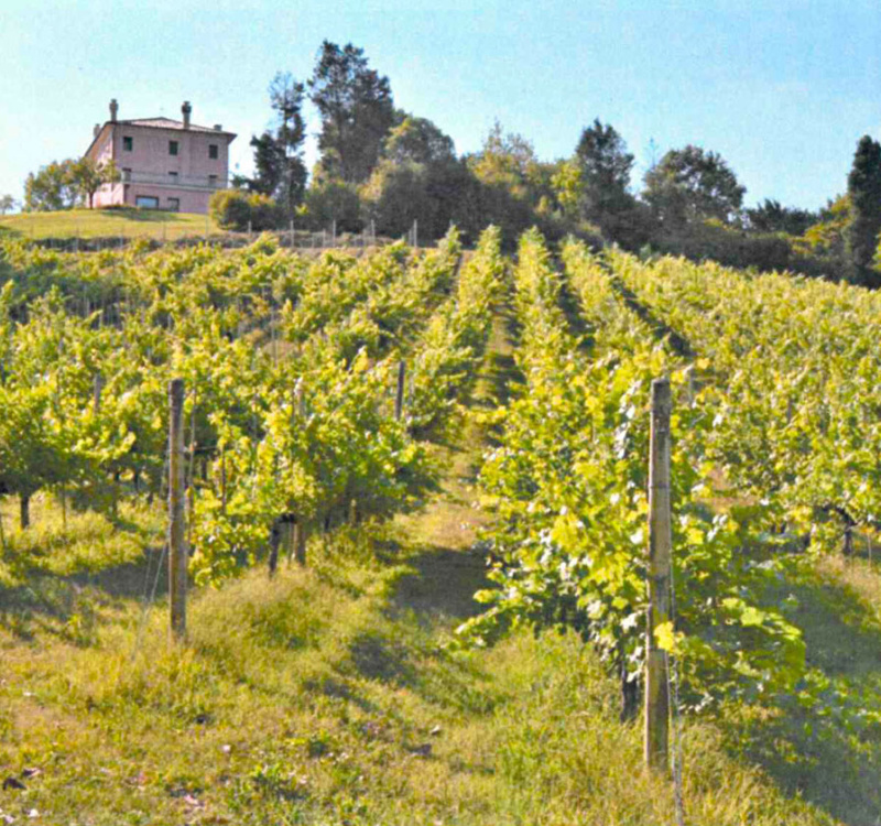 Fonte di Onè Asolo, Treviso, Italia, 6 Stanze Stanze,8 BagnoBagno,Tenuta Agricola,Tenute Agricole Vinicole,1137