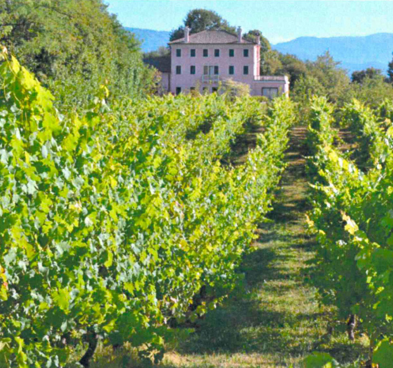 Fonte di Onè Asolo, Treviso, Italia, 6 Stanze Stanze,8 BagnoBagno,Tenuta Agricola,Tenute Agricole Vinicole,1137