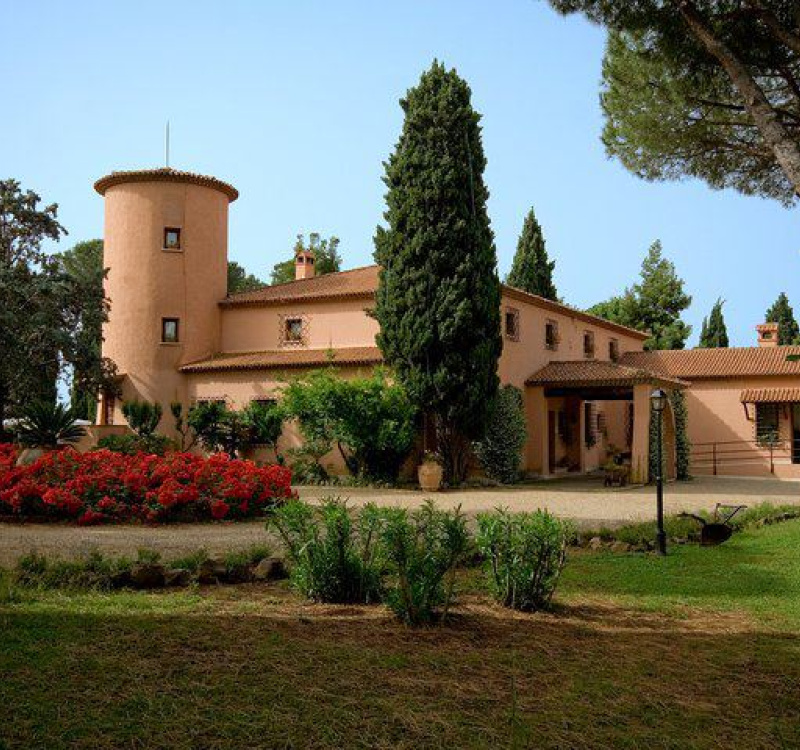 Ariccia, Roma, Italia, ,Tenuta Agricola,Cantine e Vigne,1147