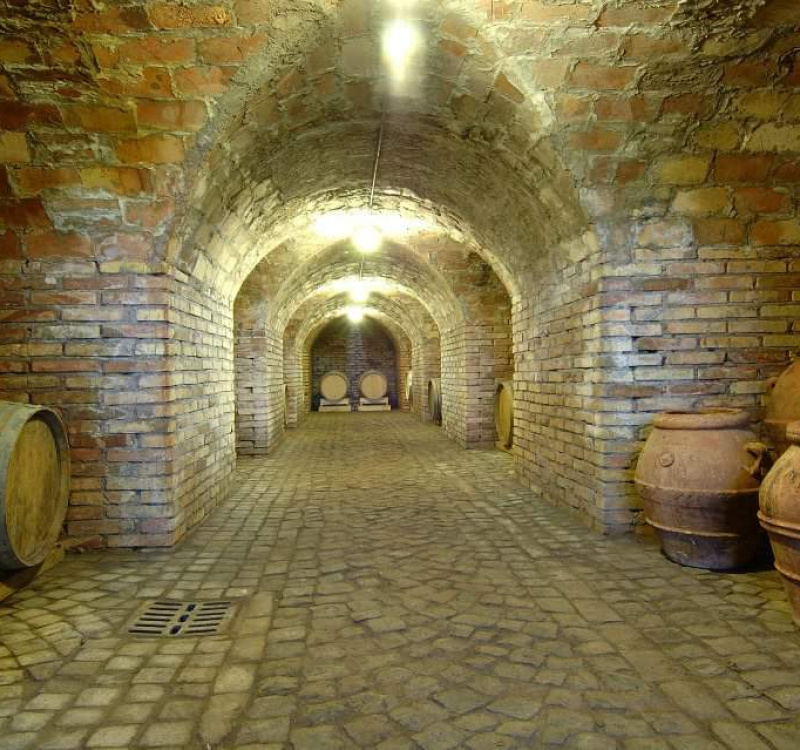 Ariccia, Roma, Italia, ,Tenuta Agricola,Cantine e Vigne,1147