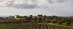 sicilia, Italia, ,Tenuta Agricola,Cantine e Vigne,1151