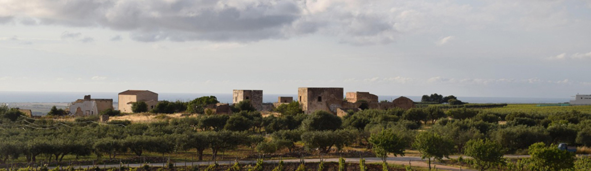 sicilia, Italia, ,Tenuta Agricola,Cantine e Vigne,1151