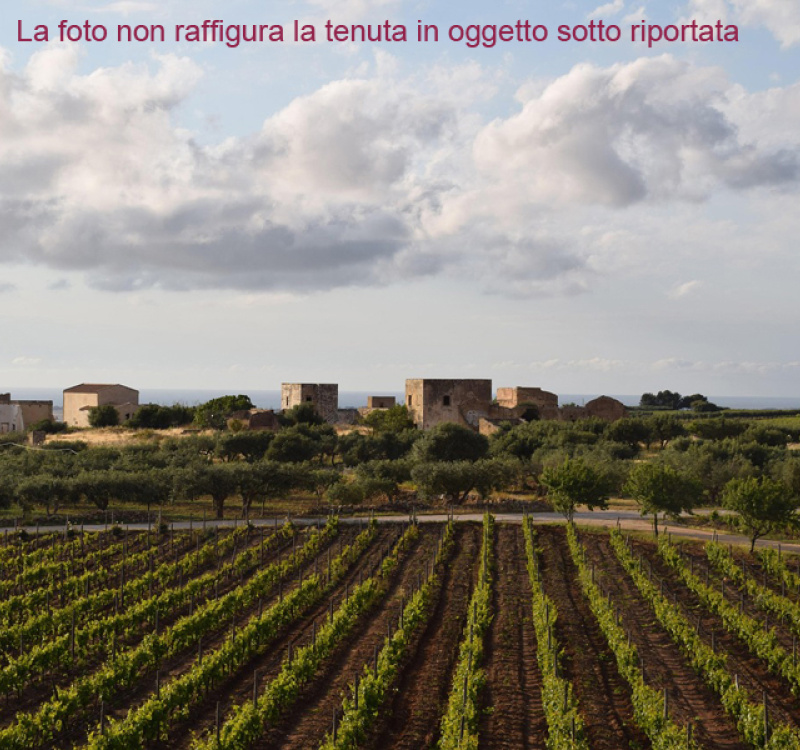 sicilia, Italia, ,Tenuta Agricola,Cantine e Vigne,1151