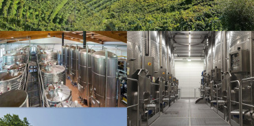 Valdobbiadene, treviso, Italia, ,Cantina,Cantine e Vigne,1152