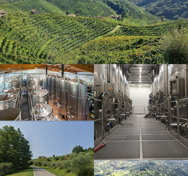 Valdobbiadene, treviso, Italia, ,Cantina,Cantine e Vigne,1152