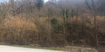Pieve di Soligo Loc. Solighetto, Treviso, Italia 31058, ,Terreno,Terreni Agricoli,1154