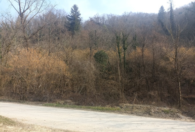 Pieve di Soligo Loc. Solighetto, Treviso, Italia 31058, ,Terreno,Terreni Agricoli,1154
