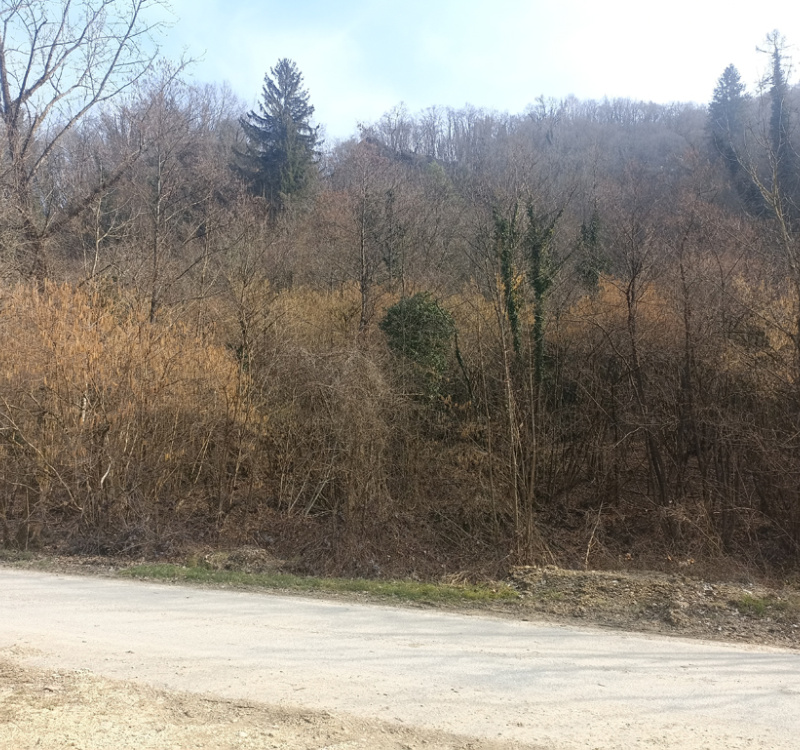 Pieve di Soligo Loc. Solighetto, Treviso, Italia 31058, ,Terreno,Terreni Agricoli,1154