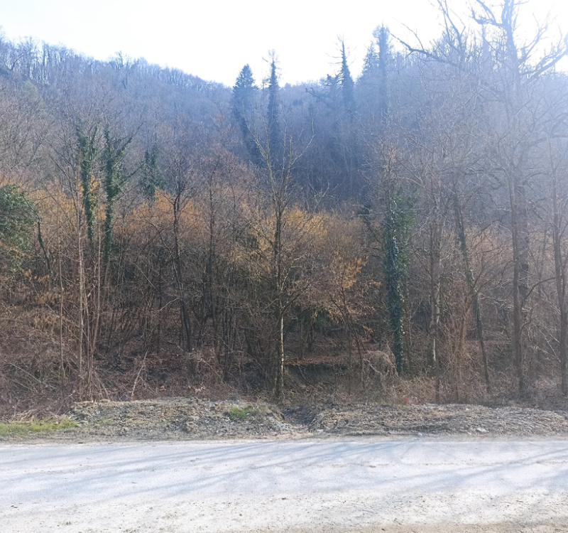 Pieve di Soligo Loc. Solighetto, Treviso, Italia 31058, ,Terreno,Terreni Agricoli,1154