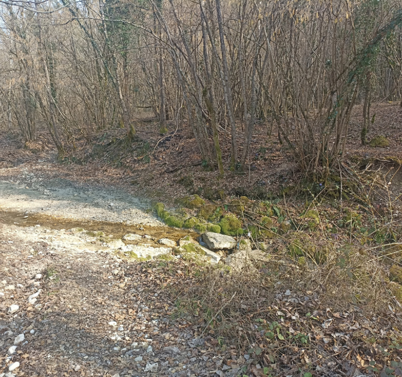 Pieve di Soligo Loc. Solighetto, Treviso, Italia 31058, ,Terreno,Terreni Agricoli,1154