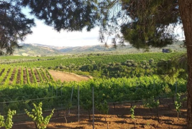 Rio Nero, Potenza, Italia, 2 Stanze da Letto Stanze da Letto, ,1 BagnoBagno,Cantina,Cantine e Vigne,1156