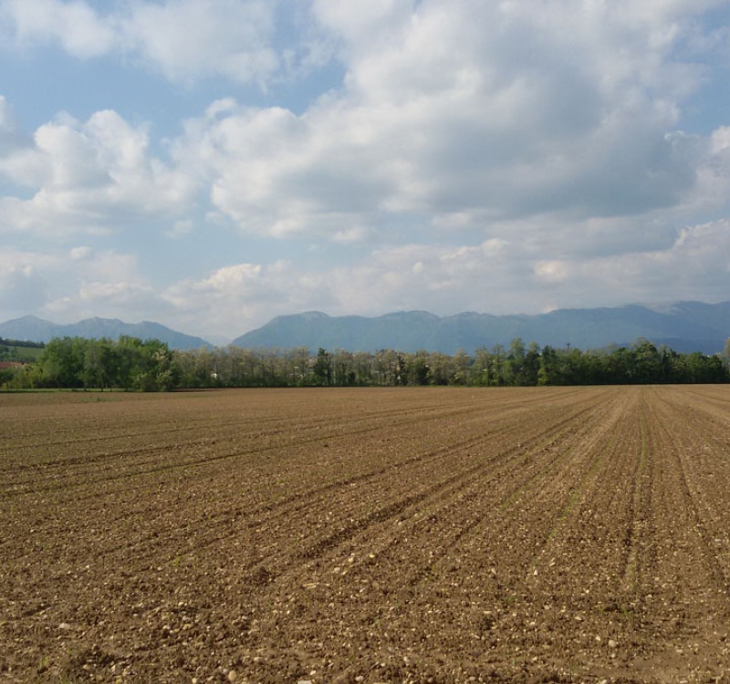 Via Ciotti,Conegliano,Italia,Italia 31015,Terreno,Via Ciotti,1,1014