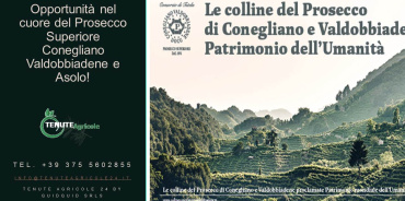 Conegliano, Valdobboadene, Trevisp, Italia, ,Cantina,Cantine e Vigne,1157
