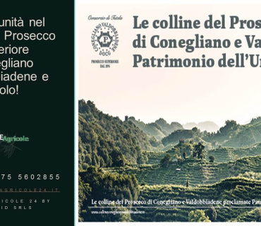 Conegliano, Valdobboadene, Trevisp, Italia, ,Cantina,Cantine e Vigne,1157
