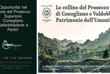 Conegliano, Valdobboadene, Trevisp, Italia, ,Cantina,Cantine e Vigne,1157