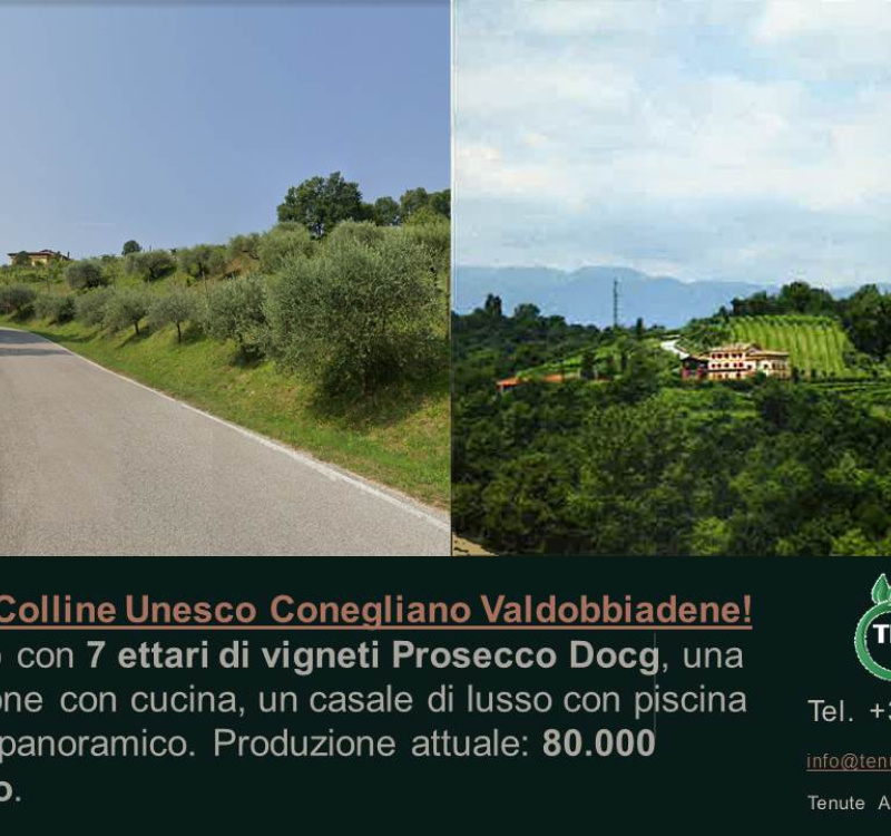 Conegliano, Valdobboadene, Trevisp, Italia, ,Cantina,Cantine e Vigne,1157