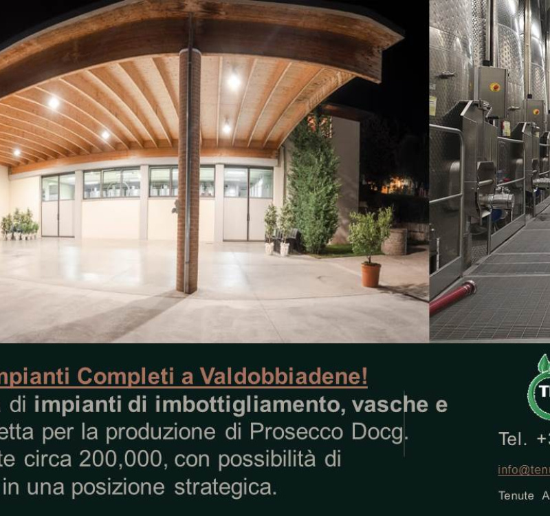 Conegliano, Valdobboadene, Trevisp, Italia, ,Cantina,Cantine e Vigne,1157