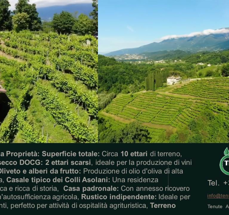 Conegliano, Valdobboadene, Trevisp, Italia, ,Cantina,Cantine e Vigne,1157