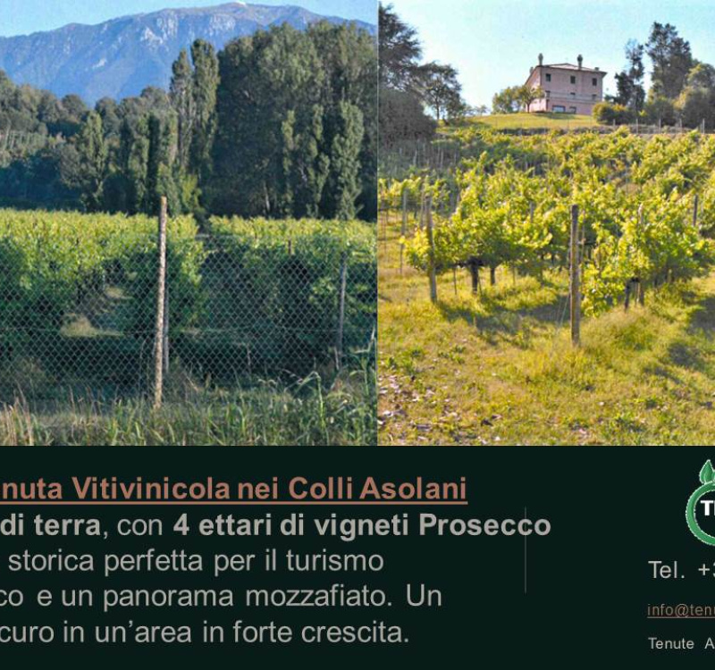 Conegliano, Valdobboadene, Trevisp, Italia, ,Cantina,Cantine e Vigne,1157