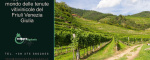 Udine, Friuli Venezia Giulia, Italia, ,Cantina,Cantine e Vigne,1158