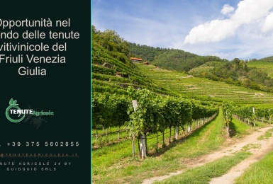 Udine, Friuli Venezia Giulia, Italia, ,Cantina,Cantine e Vigne,1158