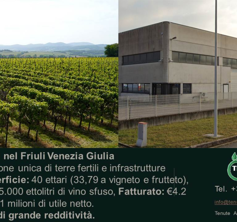 Udine, Friuli Venezia Giulia, Italia, ,Cantina,Cantine e Vigne,1158