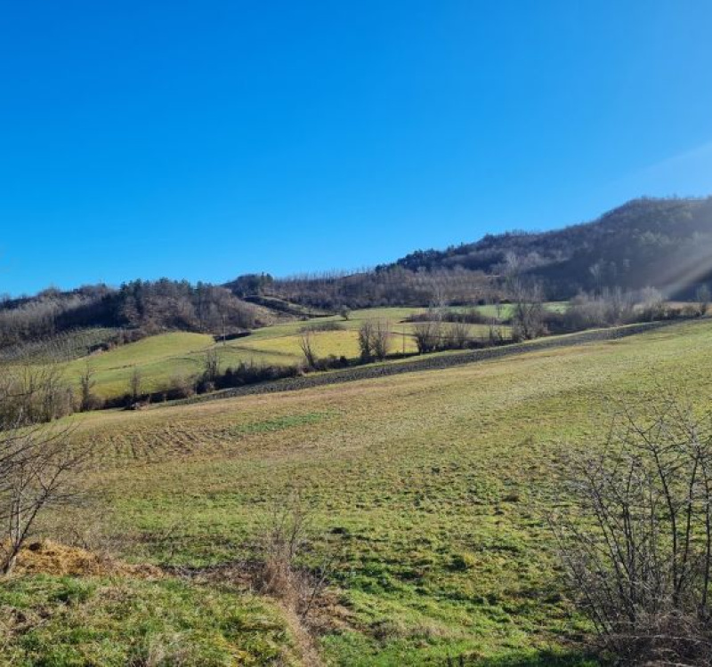 Frazione Casa Schiavo - Casa Ponte, Val di Nizza, Pavia, Italia, ,Tenuta Agricola,Casali e Rustici,1160