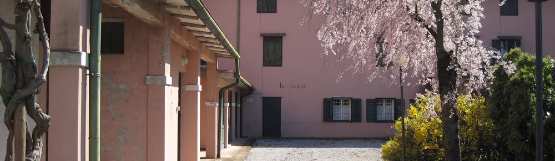 Gradisca D'Isonzo, Gorizia, Italia, ,Cantina,Cantine e Vigne,1161