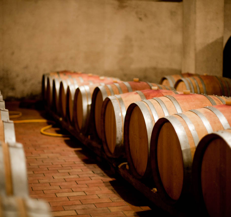 Gradisca D'Isonzo, Gorizia, Italia, ,Cantina,Cantine e Vigne,1161