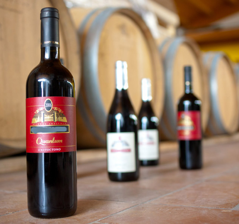 Gradisca D'Isonzo, Gorizia, Italia, ,Cantina,Cantine e Vigne,1161