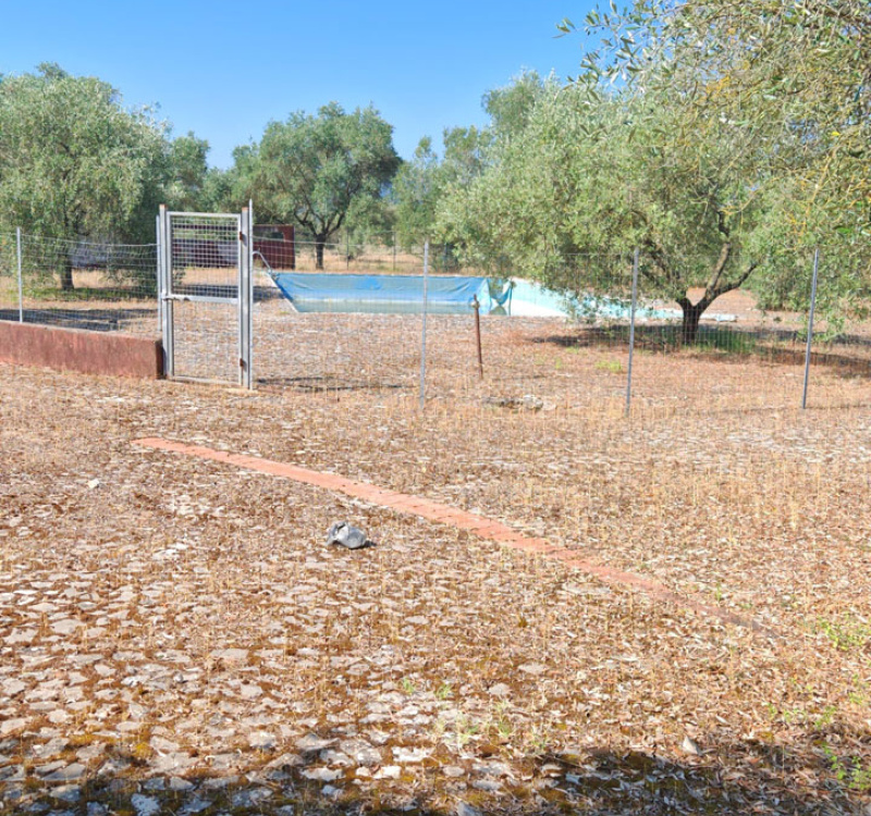 Maenza, Latina, Italia, ,Agriturismo,Casali e Rustici,1164