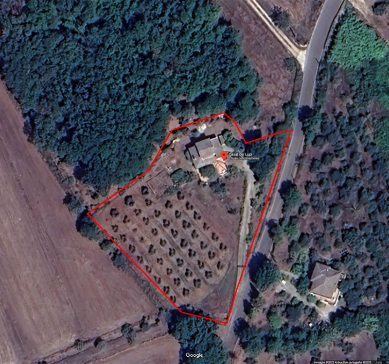 Maenza, Latina, Italia, ,Agriturismo,Casali e Rustici,1164