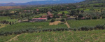 Frascati, Roma, Italia, ,Tenuta Agricola,Cantine e Vigne,1166