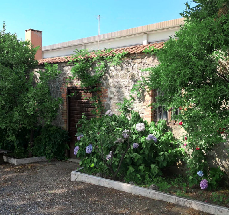 Albano, Roma, Italia, ,Cantina,Cantine e Vigne,1167