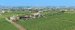 Albano, Roma, Italia, ,Cantina,Cantine e Vigne,1167