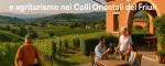 Prepotto, Udine, Italia, ,Tenuta Agricola,Cantine e Vigne,1168