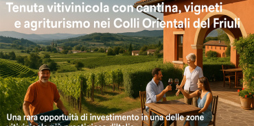 Prepotto, Udine, Italia, ,Tenuta Agricola,Cantine e Vigne,1168