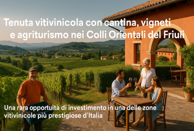 Prepotto, Udine, Italia, ,Tenuta Agricola,Cantine e Vigne,1168