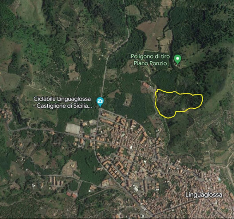 Linguaglossa, Catania, Italia, ,Tenuta Agricola,Casali e Rustici,1169