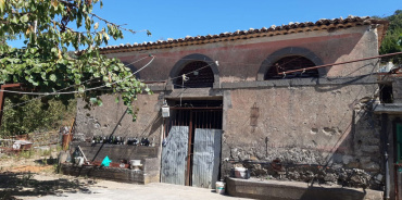Linguaglossa, Catania, Italia, ,Tenuta Agricola,Casali e Rustici,1169