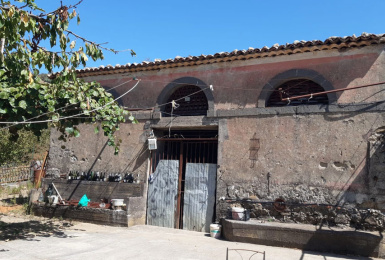 Linguaglossa, Catania, Italia, ,Tenuta Agricola,Casali e Rustici,1169