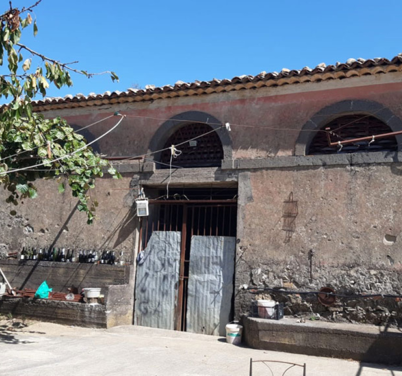 Linguaglossa, Catania, Italia, ,Tenuta Agricola,Casali e Rustici,1169