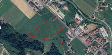 Bagnolo di COnegliano, Treviso, Italia, ,Tenuta Agricola,Terreni Agricoli,1170