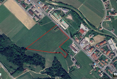 Bagnolo di COnegliano, Treviso, Italia, ,Tenuta Agricola,Terreni Agricoli,1170