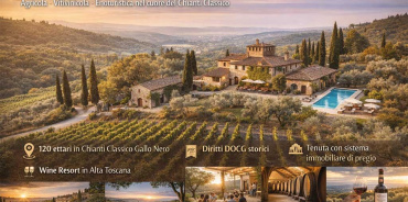 Greve in Chianti, Firenze, Italia, ,Tenuta Agricola,Tenute Agricole Vinicole,1172