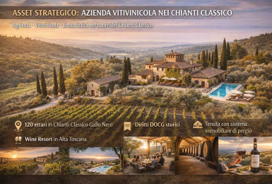 Greve in Chianti, Firenze, Italia, ,Tenuta Agricola,Tenute Agricole Vinicole,1172